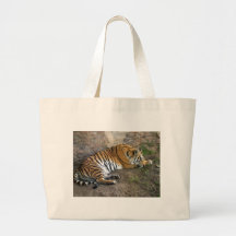Sleeping Tiger Canvas Bags