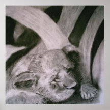 Sleeping Tiger Cub Poster