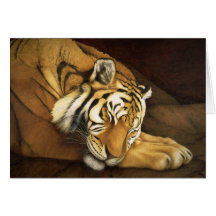 sleeping tiger greeting card