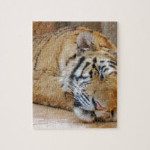 Sleeping Tiger Jigsaw Puzzles