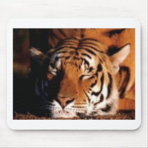 Sleeping Tiger Mouse Mats
