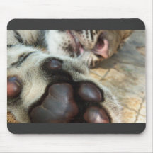 Sleeping Tiger Mouse Pads