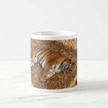 Sleeping Tiger Mug