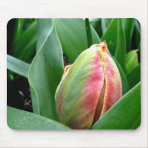 Sleeping Tulips Mousepad