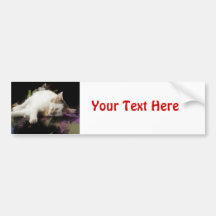 Sleeping White Kitten Marker Sketch Bumper Sticker