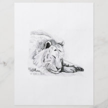 Sleeping White Tiger head and paws Pencil Drawing Personalized Flyer