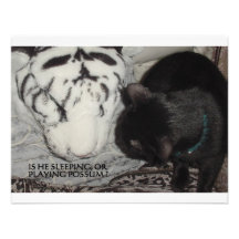 SLEEPING WHITE TIGER INVITES