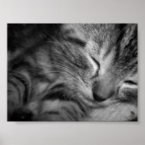 Sleepy Bastian Print