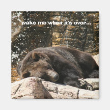 Sleepy Bear Refrigerator Magnets