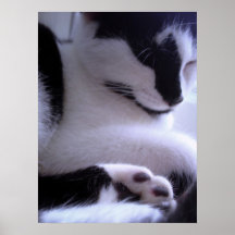 sleepy beauty poster