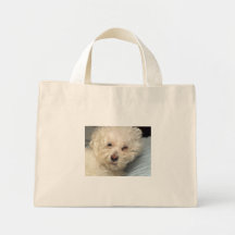 Sleepy Bichon Frise Canvas Bag