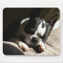 Sleepy Boston Mouse Mats
