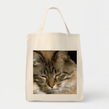 Sleepy Cat Bags