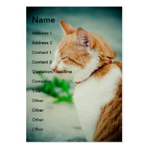 Sleepy cat business card