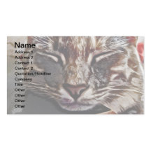 Sleepy Cat Business Cards
