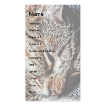 Sleepy Cat Business Cards