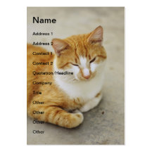 Sleepy cat business cards