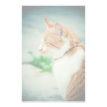 Sleepy cat customized stationery