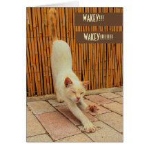 Sleepy Cat Greeting Card