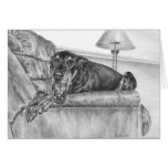 Sleepy Doberman Pinscher Dog Drawing by Kelli Swan Greeting Card