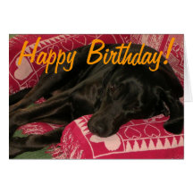 Sleepy Dog "Party til you're POOPED" Birthday Card