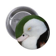 Sleepy Duck Pins