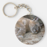 Sleepy Head Keychains