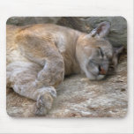 Sleepy Head Mousepads