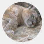 Sleepy Head Stickers