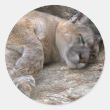Sleepy Head Stickers