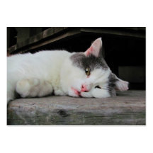 Sleepy Kitty ~ ATC Business Card