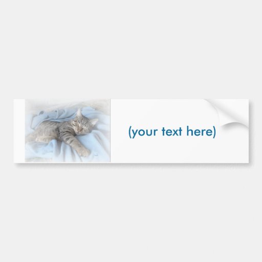 Sleepy Kitty Bumper Sticker