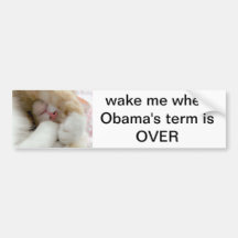 Sleepy Kitty Bumper Sticker