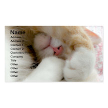 Sleepy Kitty Business Card