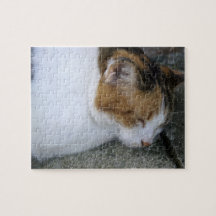 Sleepy Kitty Jigsaw Puzzle