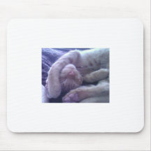 Sleepy Kitty Mouse Mats