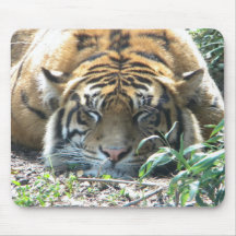 Sleepy Kitty! Mousepad