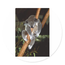 Sleepy Koala Stickers