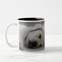 SLEEPY LAB COFFEE MUG