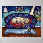 Sleepy Lab in Seattle Poster