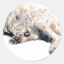 Sleepy Labradoodle Stickers