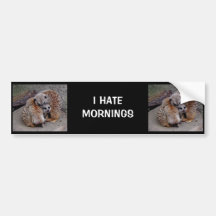 Sleepy Meerkats Bumper Stickers