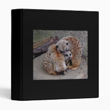 Sleepy Meerkats Vinyl Binder