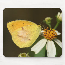 Sleepy Orange Butterfly Mouse Pad