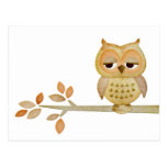 Sleepy Owl in Tree Postcard