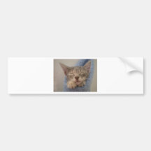 sleepy Pig Bumper Stickers