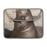 Sleepy Sea Lion 13" MacBook Sleeve MacBook Pro Sleeve
