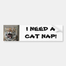 Sleepy Tiger Bumper Sticker