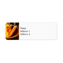Slices of Cantaloupe