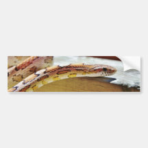 Slithering Red Corn Snake Bumper Stickers